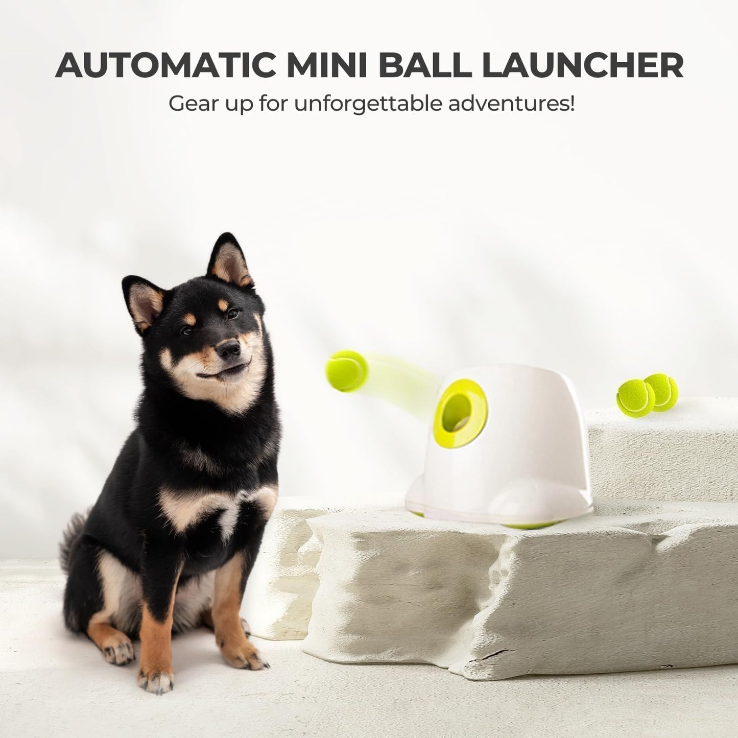 PawPilot Automatic Ball Launcher