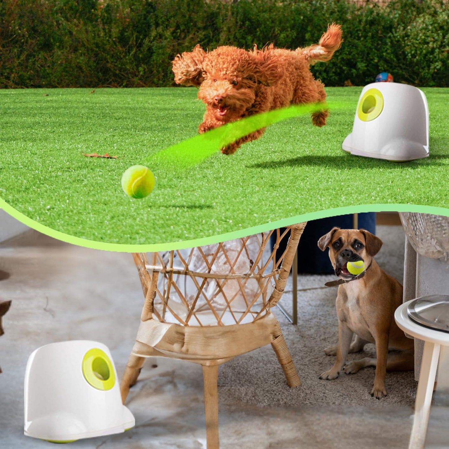 PawPilot Automatic Ball Launcher